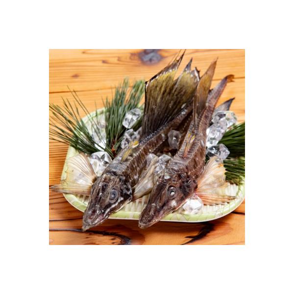 【ぜひお試しください!】極レア!オホーツク産 八角(はっかく) 丸干し 1kg 焼くだけ簡単