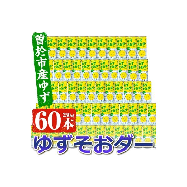 ゆずそおダー合計60本