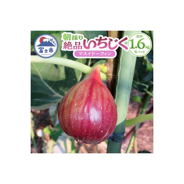朝採り逸品いちじく(マスイドーフィン4パック) [sf001-074]