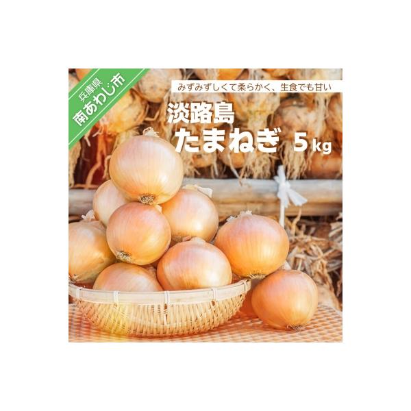 淡路島たまねぎ 5kg　◆配送6月中旬～