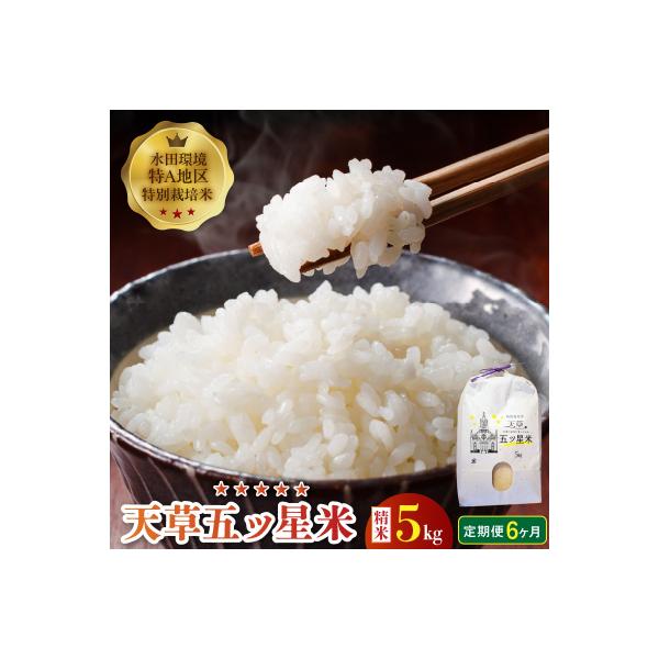 【6ヶ月定期便】【先行受付】天草五ッ星米 精米 5kg_S061-T06A