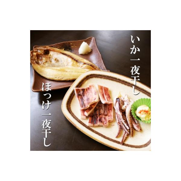無添加ほっけ・いか一夜干し各5枚 B-32015
