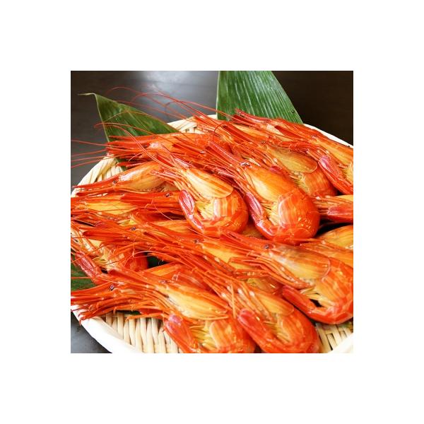 【北海道根室産】北海しまえび400g(約16～20尾)×2P C-32029