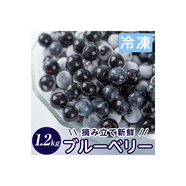 霧島市産ブルーベリー1.2kg(冷凍)【霧島農産加エグループふきのとう】A-050