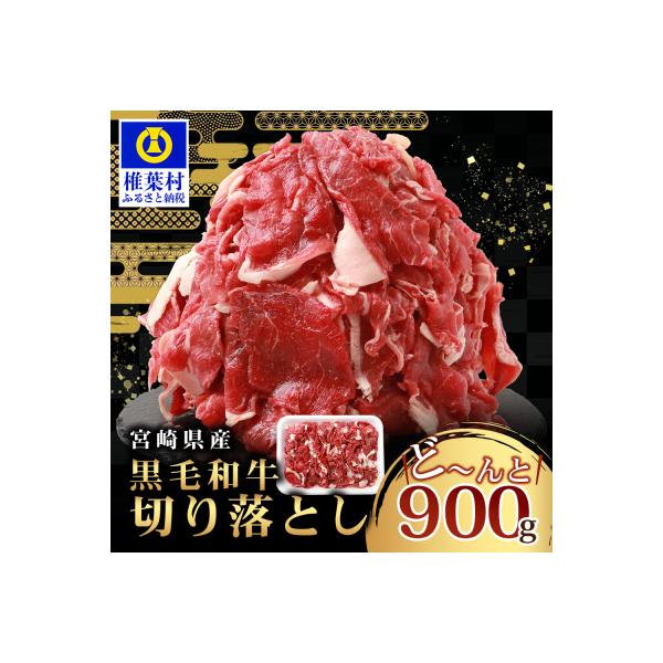 宮崎県産 和牛 切り落とし【900g】TK-35