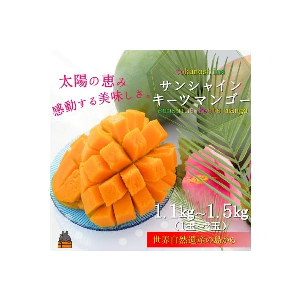 【まもなく旬!】徳之島サンシャインキーツマンゴー(1玉～2玉)
