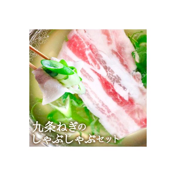 【こと京都(本社)】《毎月29日お届け》九条ねぎのしゃぶしゃぶセット|京都 鍋 人気 料理 肉 野菜