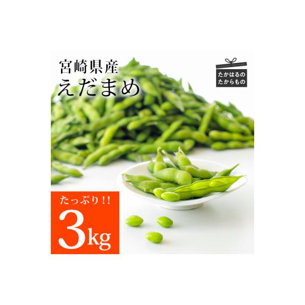宮崎県産えだまめ3kg(500g×6袋)　TF296