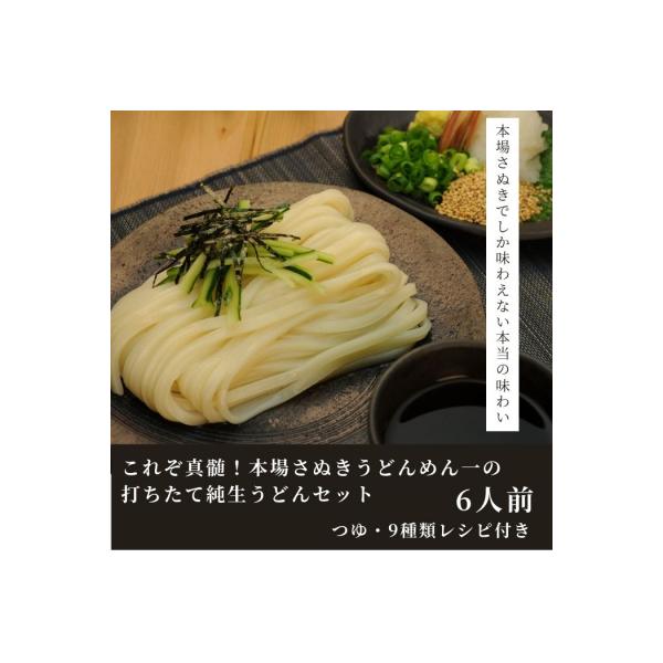 純生!これぞ真髄!本場さぬきうどんめん一の打ちたてうどんセット(6人前)【L-11】