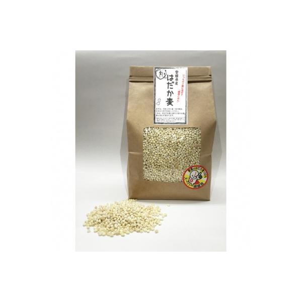 はだか麦　900g　5個セット
