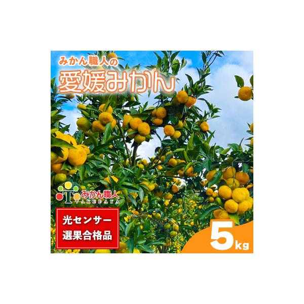 【高評価★4.4】 訳あり 愛媛みかん 5kg みかん職人武田屋