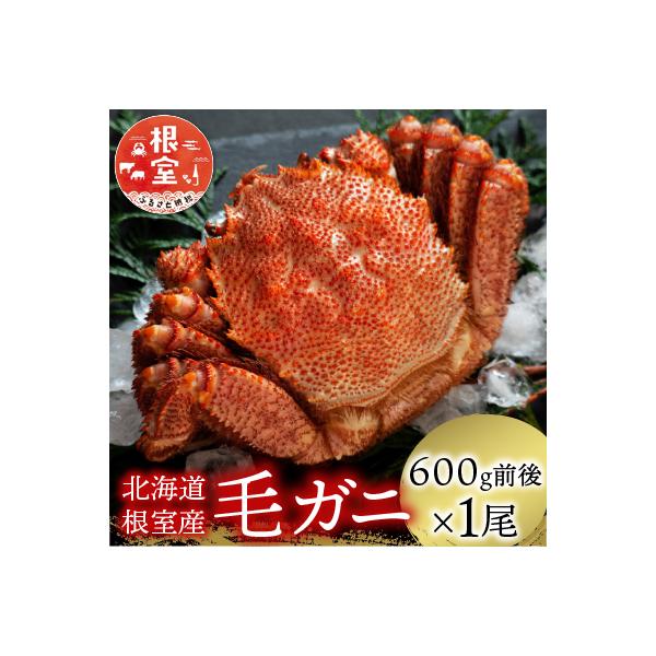 【北海道根室産】毛がに600g前後×1尾 B-21006