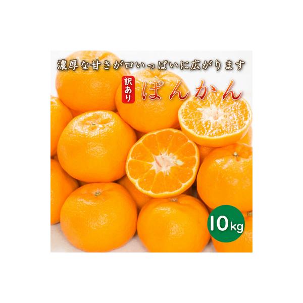 【先行受付】 訳あり 減農薬 ポンカン 10kg 2027年1月中旬～ 愛媛県 愛南町 愛南フルーツ