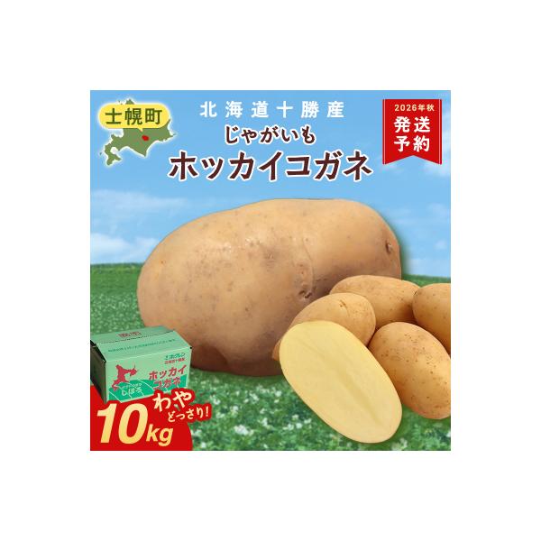 【10月より順次発送予定】じゃがいも(ホッカイコガネ) 10kg《2026年産》【V06】
