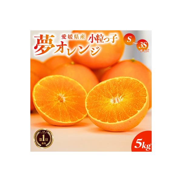 【先行受付】紅まどんなと同品種【訳あり】夢オレンジ 小粒っ子 5kg 夢おれんじ みかん職人武田屋