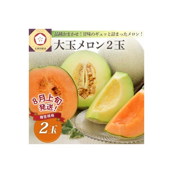 【2026年8月上旬発送】メロン2玉入り 大玉 贈答規格 青森メロン 津軽産