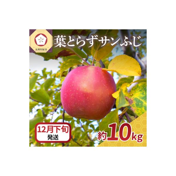 ふるさと納税 五所川原市 【2022年12月下旬発送】りんご10kgサンふじ葉とらず青森 :3080793:さとふる - 通販 - Yahoo!ショッピング ふるさと納税 五所川原市 【2022年12月下旬発送】りんご10kgサンふじ葉とらず青森 :3080793:さとふる - 通販 - Yahoo!ショッピング