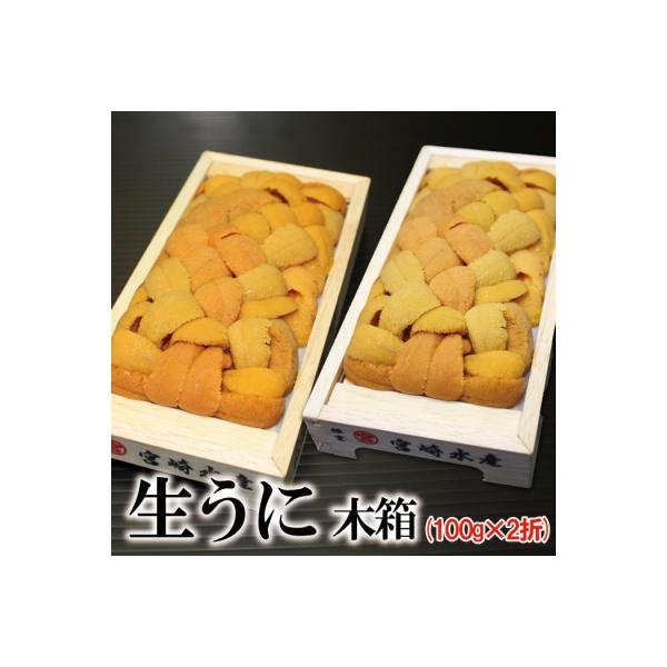 エゾバフンウニ100g×2折 F-65001