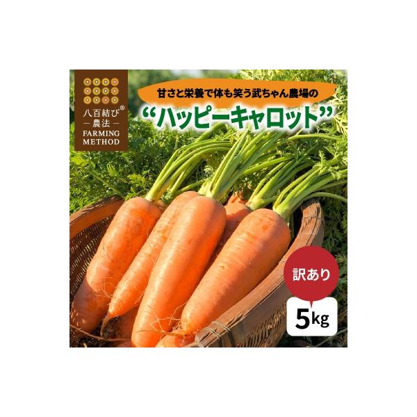 ■お礼品詳細　・内容量：5kg(約20本)　・配送方法：常温　・消費期限：1か月程度　・保存方法：野菜室や、日の当たらない涼しい場所　・事業者：武ちゃん農場　・提供元：碧南市■お申し込み・配送・その他　・発送時期：2025年12月から202...