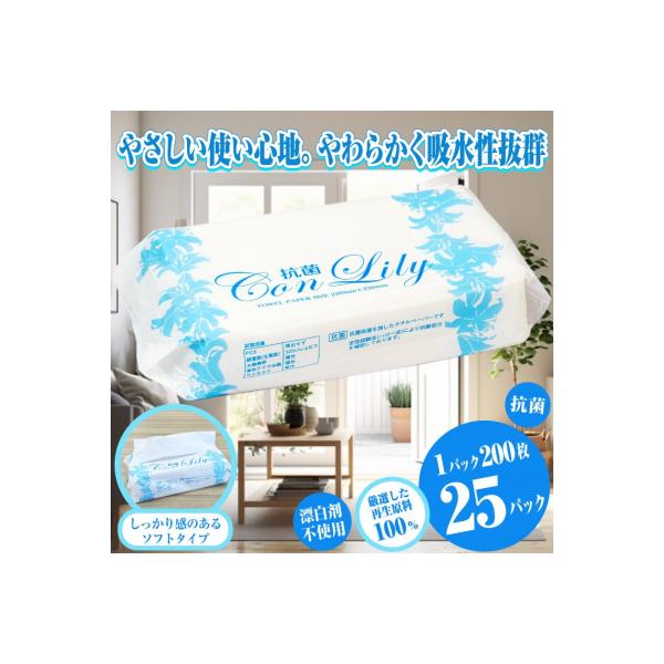 抗菌こんりりー25入りペーパータオル ソフトタイプ(b1594)