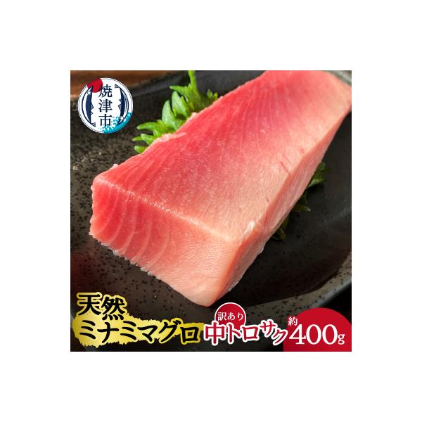 天然ミナミマグロ 訳あり 中トロ(サク) 約400g入り(a12-114)