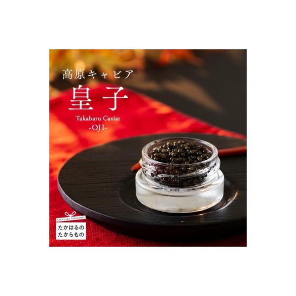 Takaharu Caviar(たかはるキャビア)『皇子』20g　tt-513