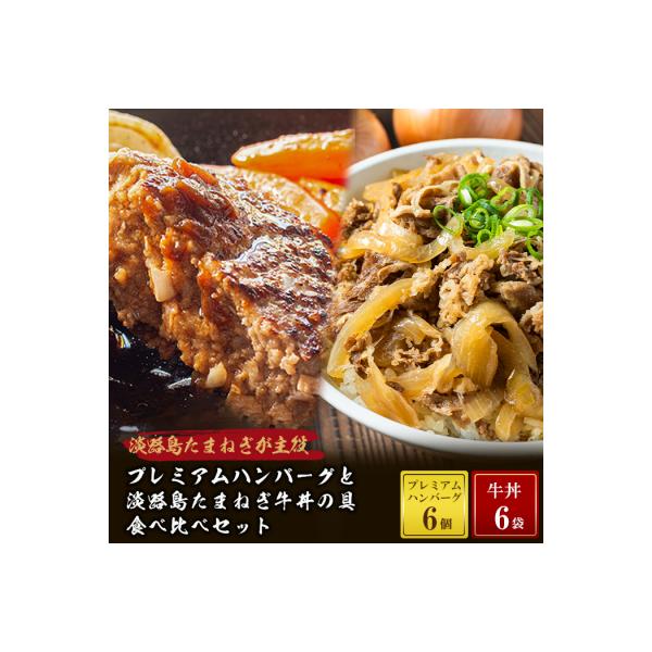 プレミアムハンバーグとたまねぎ牛丼 食べ比べセット　ai01741