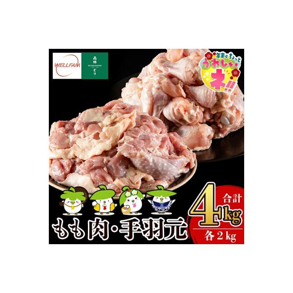 森林どり もも肉・手羽元セット(各2kg・合計4kg)【ウェルファムフーズ】　A0-270