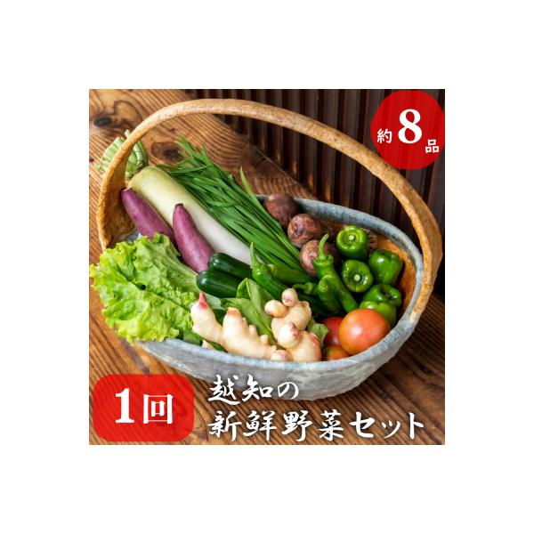 越知産市の季節の野菜セット(年1回発送)　産地直送　旬野菜