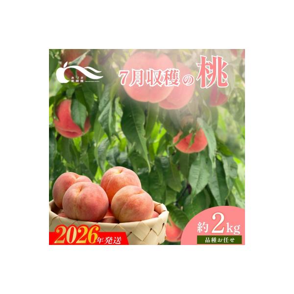 ■お礼品詳細　・事業者：有限会社あづま果樹園　・内容量：約2kg（6〜9玉入）　・賞味期限：発送日+2日程度※生ものですので期間に関わらずお早目にお召し上がりください。　・配送方法：冷蔵便　・アレルギー：もも　・提供元：福島市■お申し込み・...