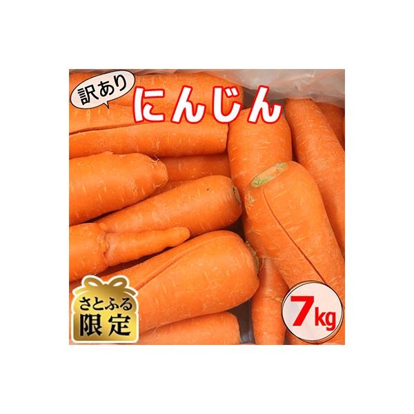 【さとふる限定】【訳ありB品】【先行受付】かごしま美味人参(愛紅)7kg ZSS-682‐4