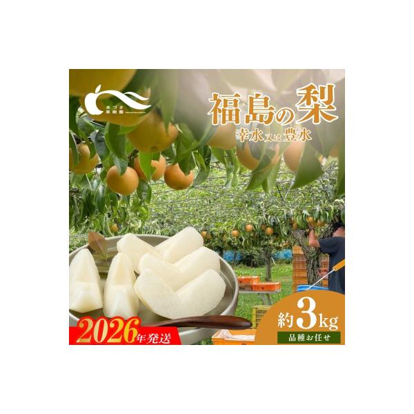 ■お礼品詳細　・事業者：有限会社あづま果樹園　・内容量：約3kg（6〜11玉入）　・賞味期限：発送日+5日程度※生ものですので期間に関わらずお早目にお召し上がりください　・配送方法：冷蔵便　・提供元：福島市■お申し込み・配送・その他　・発送...