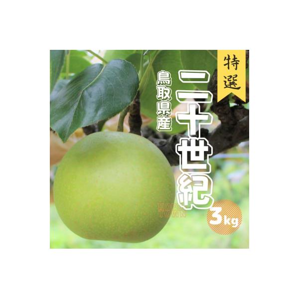 ■お礼品詳細　・内容量：3キロ 3L〜5Lサイズ(6〜8玉前後)　・賞味期限：常温7日前後　・配送方法：通常便　・提供元：江府町■お申し込み・配送・その他　・発送時期：8月下旬〜9月下旬予定　・申込受付期間：7月末まで※予定数に達し次第受付...