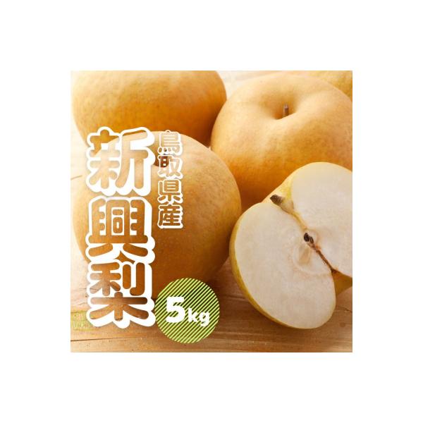 ■お礼品詳細　・内容量：新興梨5kg前後(6〜18玉前後)　・賞味期限：常温7日前後　・配送方法：通常便　・提供元：江府町■お申し込み・配送・その他　・発送時期：10月上旬〜11月予定　・申込受付期間：9月末日まで　※数量限定※予定数に達し...