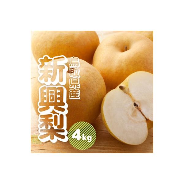 ■お礼品詳細　・内容量：新興梨4kg前後(5〜16玉前後)　・賞味期限：常温7日前後　・配送方法：通常便　・提供元：江府町■お申し込み・配送・その他　・発送時期：10月上旬〜11月予定　・申込受付期間：9月末日まで　※数量限定※予定数に達し...