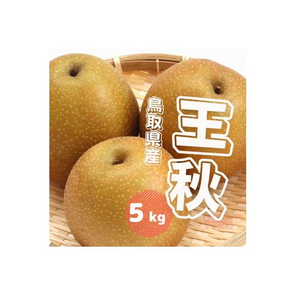 ■お礼品詳細　・内容量：王秋梨 5kg 前後(5〜16玉前後)　・賞味期限：常温7日前後　・配送方法：通常便　・提供元：江府町■お申し込み・配送・その他　・発送時期：10月下旬〜12月上旬頃発送　・申込受付期間：2025年9月末　※数量限定...