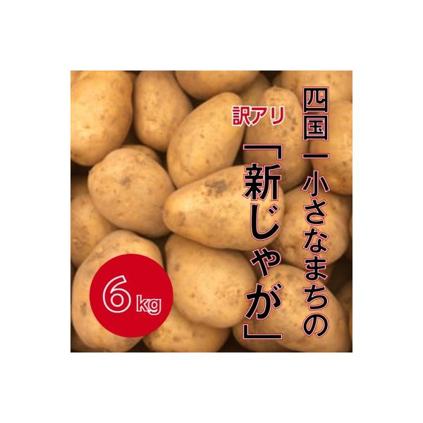 【四国一小さなまち】★先行受付:5月発送★大野台地で採れた令和5年産『新じゃが』6kg　訳アリ品