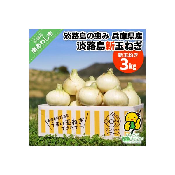 【新玉受付!】【ケンちゃんファーム】＼うまい玉ねぎできたでー/ 特別栽培・新玉ねぎ3kg(早生)