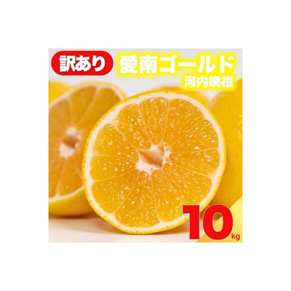 先行受付 訳あり 愛南ゴールド ( 河内晩柑 ) 10kg 減農薬 愛媛県 愛南町 愛南フルーツ