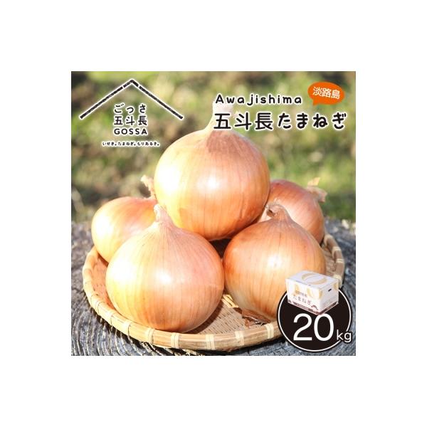 五斗長たまねぎ 20kg(20kg箱×1) 淡路島産玉ねぎ　ag01702