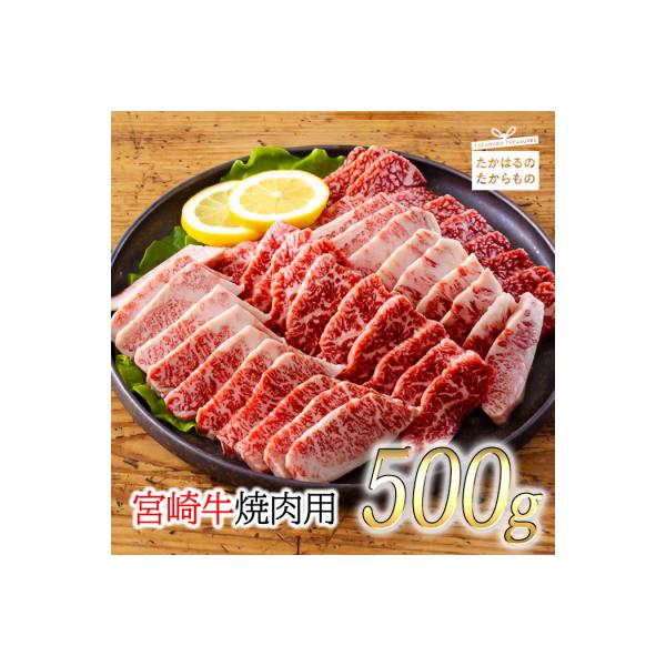 厳選 宮崎牛焼肉用500g 　TF556