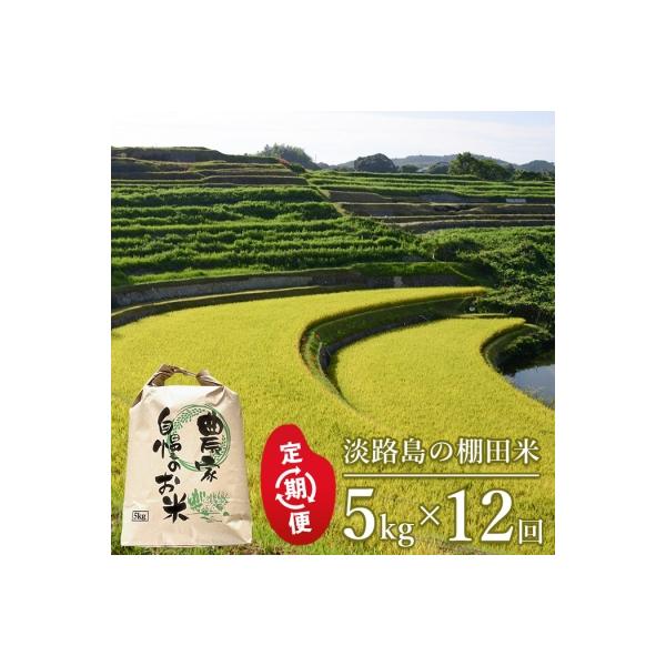 【定期便】淡路島の棚田米 5kg×12回(毎月発送)　ae01085