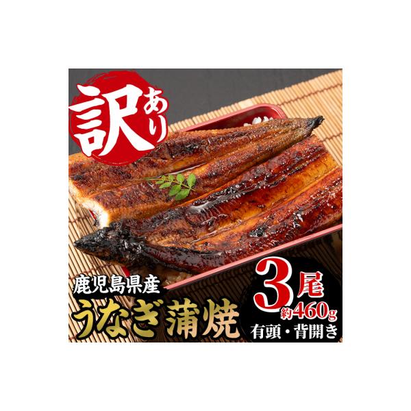 【訳あり】国産うなぎ(鹿児島県産うなぎ)蒲焼 3尾(約460g超え)【60日以内配送】