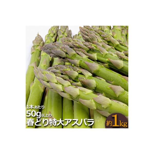 ■お礼品詳細　・容量：1本50g以上・約1kg　・賞味期限：発送日から5日程度　・アレルギー：特定原材料等28品目は使用しておりません　・配送：冷蔵　・協力事業者：長井中央青果　・提供元：長井市■お申し込み・配送・その他　・発送時期：202...