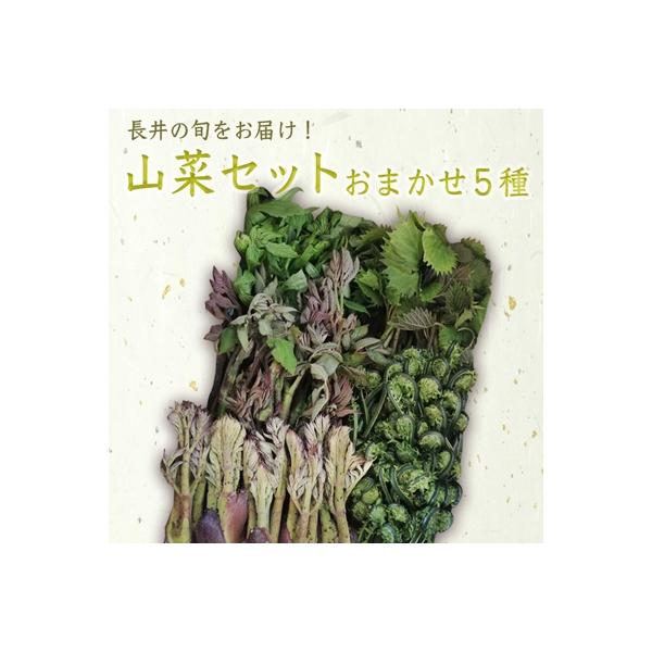 ■お礼品詳細　・容量：700g以上　・賞味期限：発送日から3日程度　・アレルギー：特定原材料等28品目は使用しておりません　・配送：冷蔵　・協力事業者：長井中央青果　・提供元：長井市■お申し込み・配送・その他　・発送時期：2026年04月下...