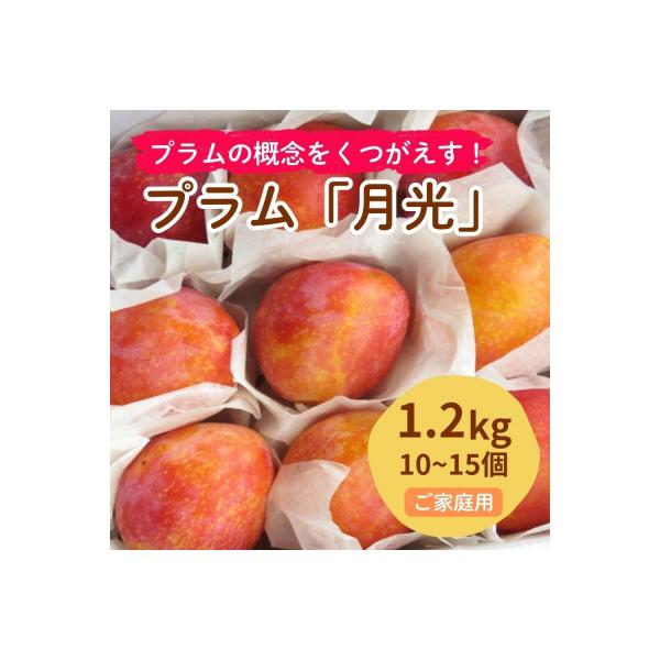 プラム(月光)1.2kg　ご家庭用　0075-2603