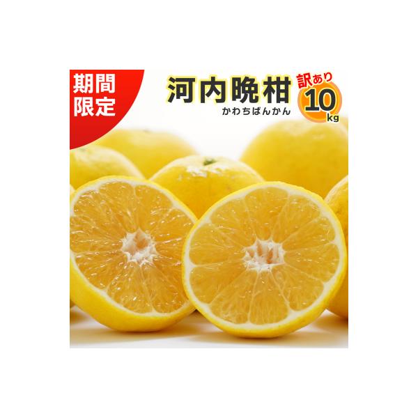 【訳あり】みかん職人武田屋の河内晩柑10kg