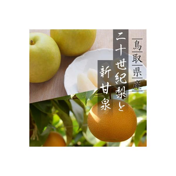 二十世紀梨と新甘泉のセット 3kg