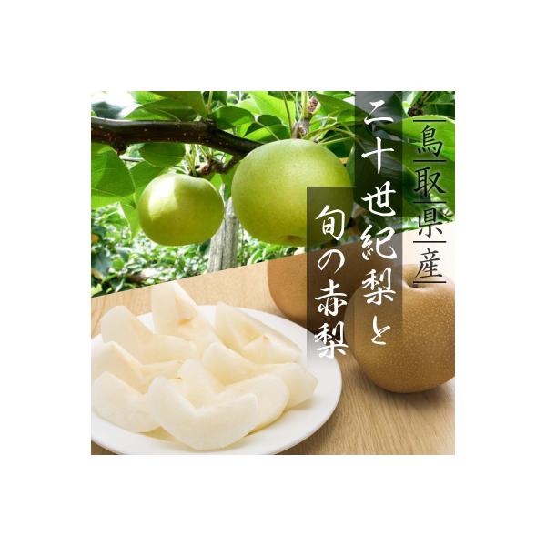 二十世紀梨と旬の赤梨セット 4kg