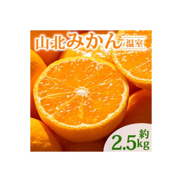みかん 温室 人気 2.5kg ハウスみかん 山北みかん 高級 高知  ku-0051